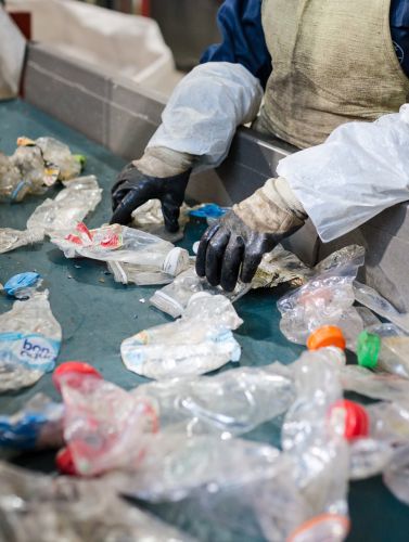 Person mit Handschuhen sortiert gebrauchte Kunststoffflaschen per Hand auf einem Förderband in einer Recyclinganlage