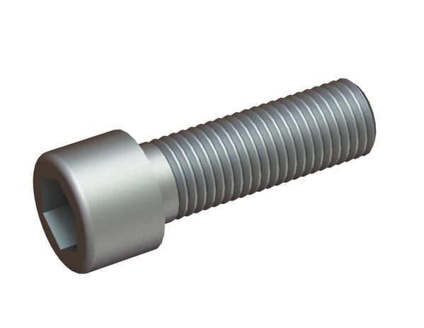 M16X50 hexagon socket head screw 8.8, low head for Lindner Meteor 2500