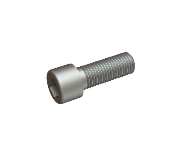 M20x55 hexagon socket head screw 10.9 for Herbold SML 45/60