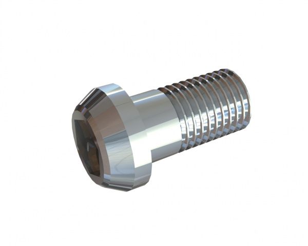 M24x45 Hexagonal socket head screw for Lindner Recyclingtech Lindner Jupiter