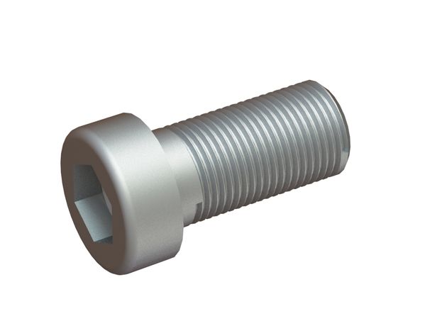 M24x50 hexagon socket head screw 10.9 